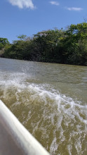 Río Sábalos
